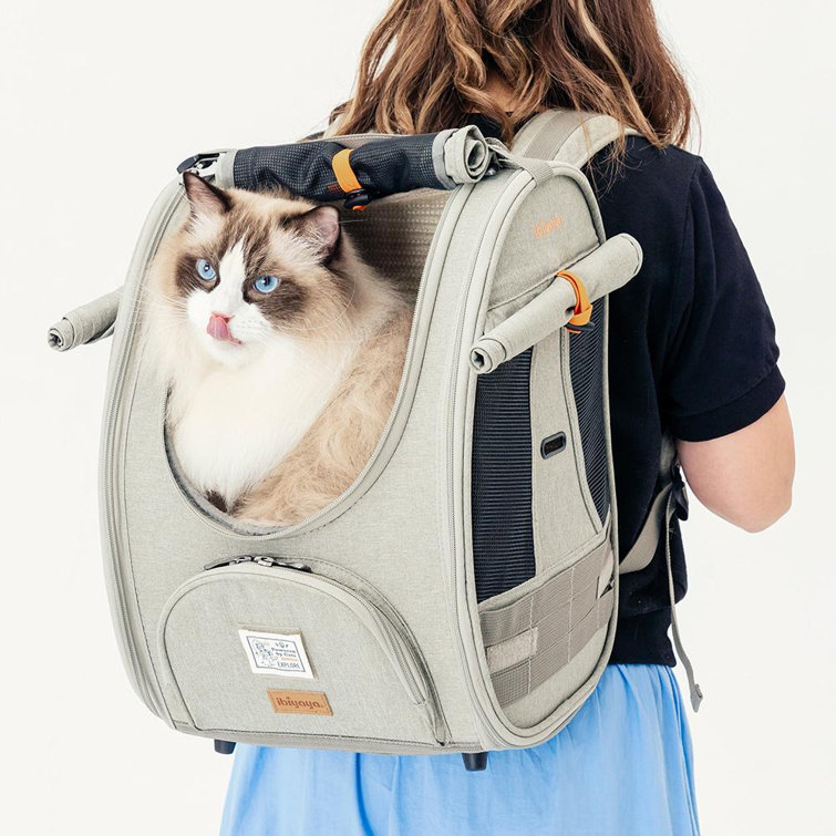 Cat bag clearance backpack